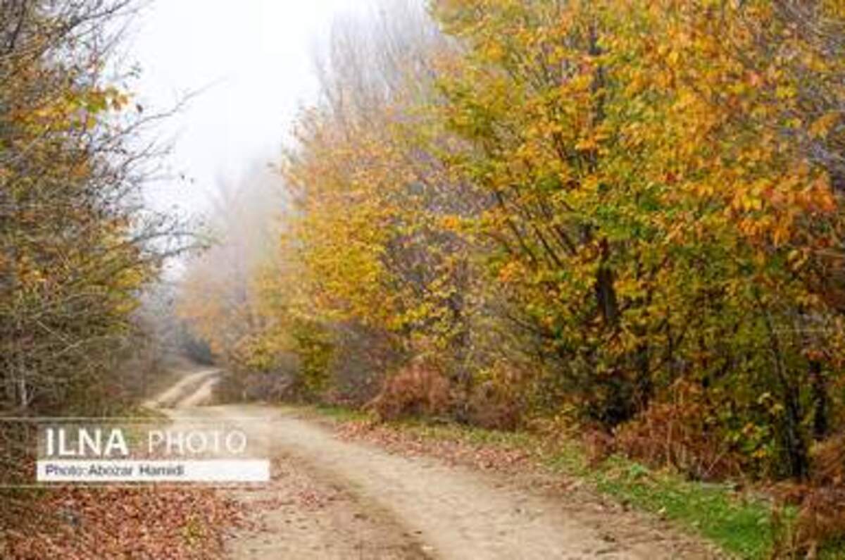  پاییز زیبای روستای داماش در شهرستان رودبار