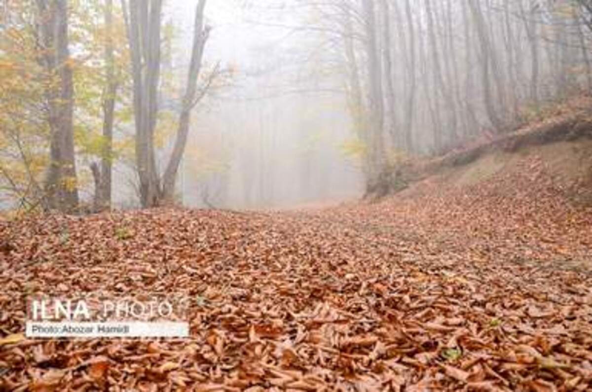  پاییز زیبای روستای داماش در شهرستان رودبار