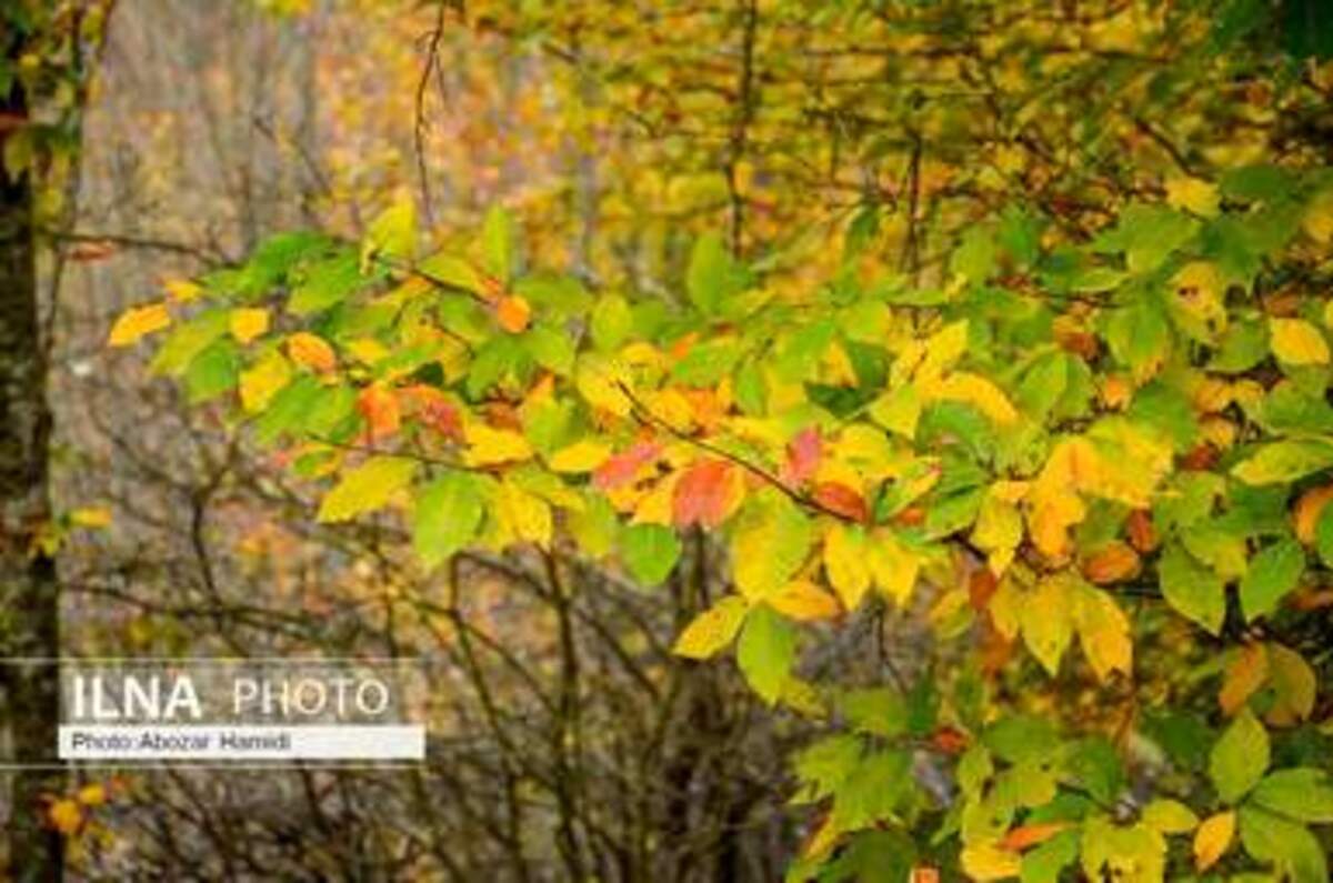  پاییز زیبای روستای داماش در شهرستان رودبار
