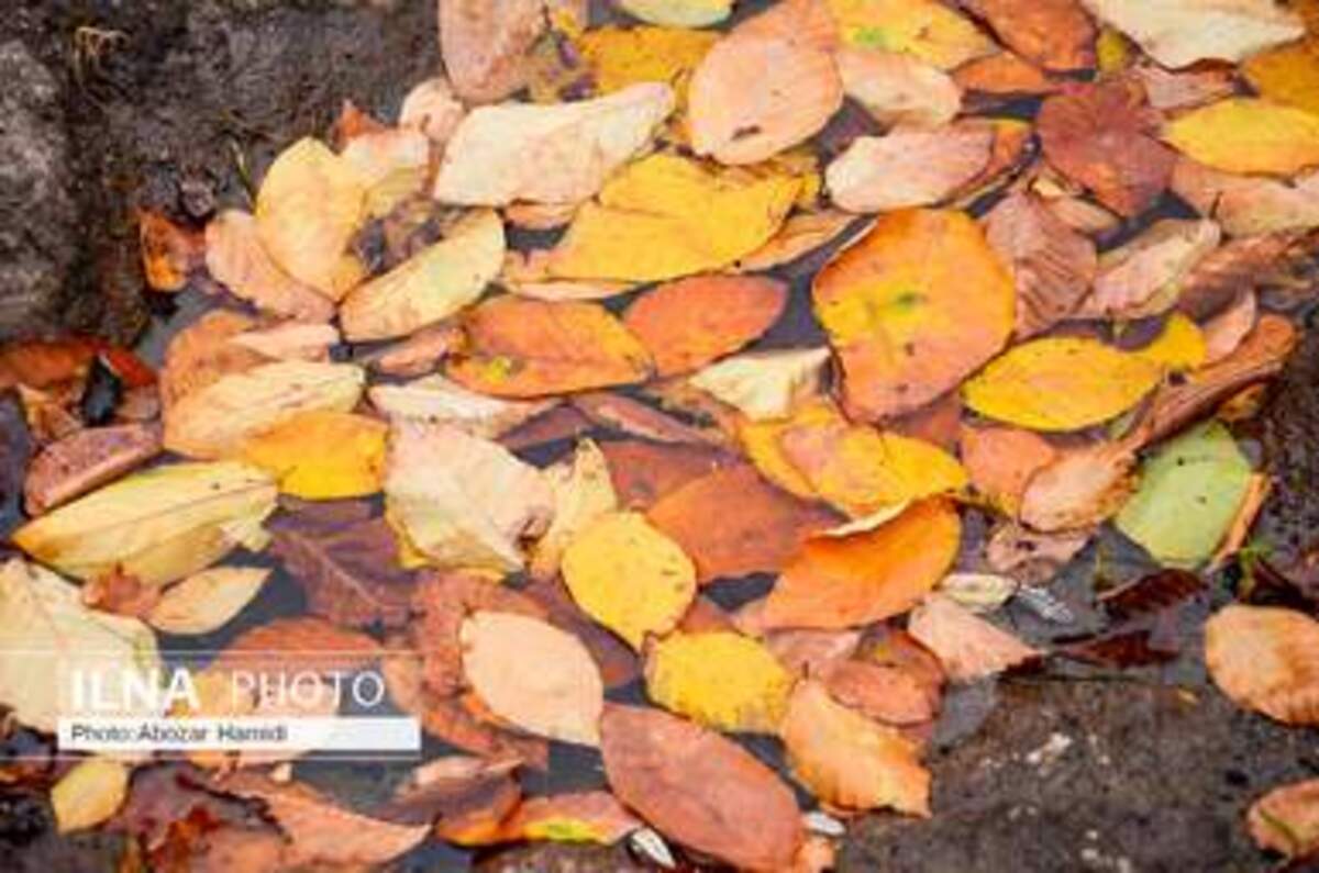  پاییز زیبای روستای داماش در شهرستان رودبار