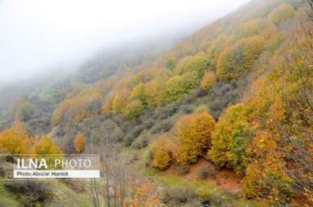  پاییز زیبای روستای داماش در شهرستان رودبار