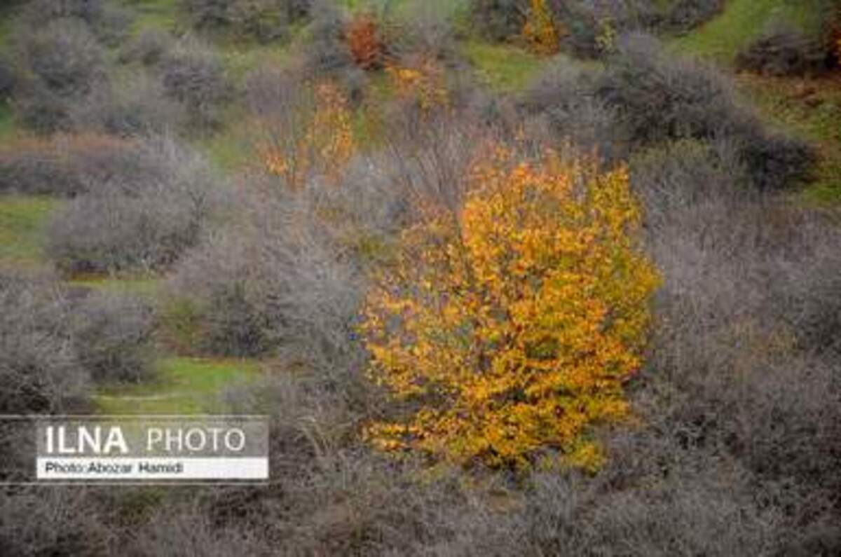  پاییز زیبای روستای داماش در شهرستان رودبار