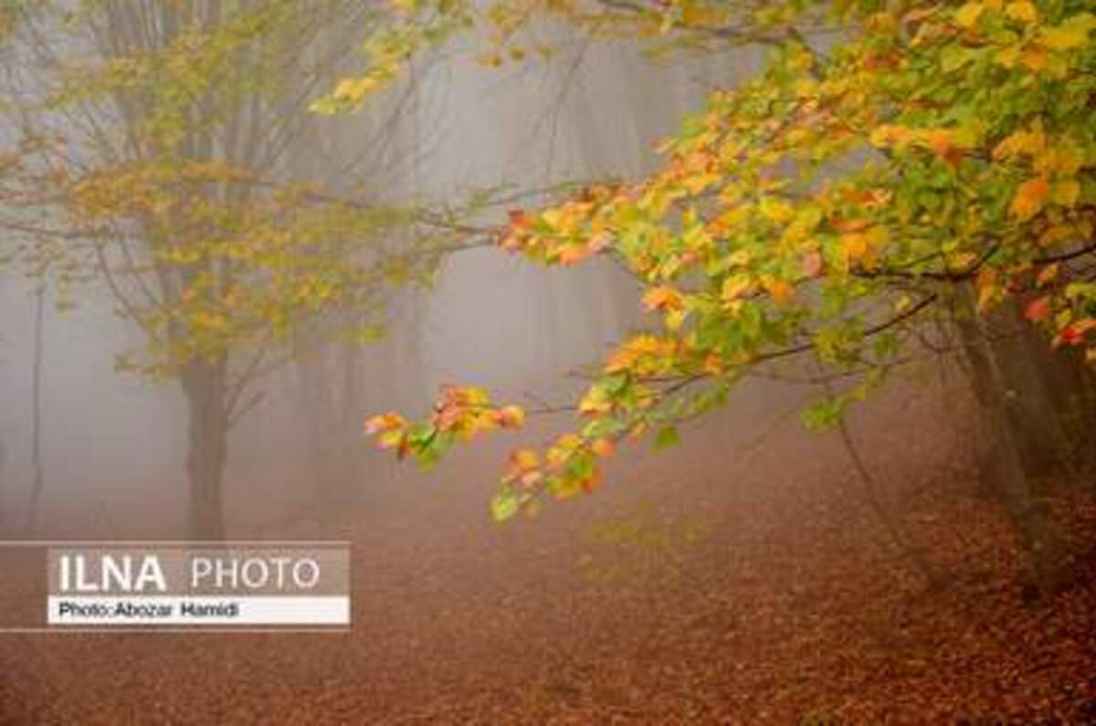  پاییز زیبای روستای داماش در شهرستان رودبار