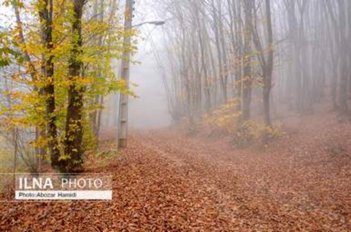  پاییز زیبای روستای داماش در شهرستان رودبار