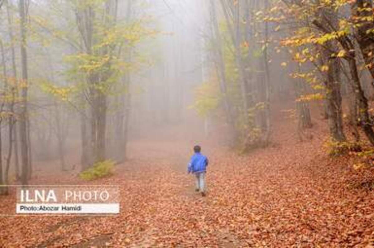  پاییز زیبای روستای داماش در شهرستان رودبار