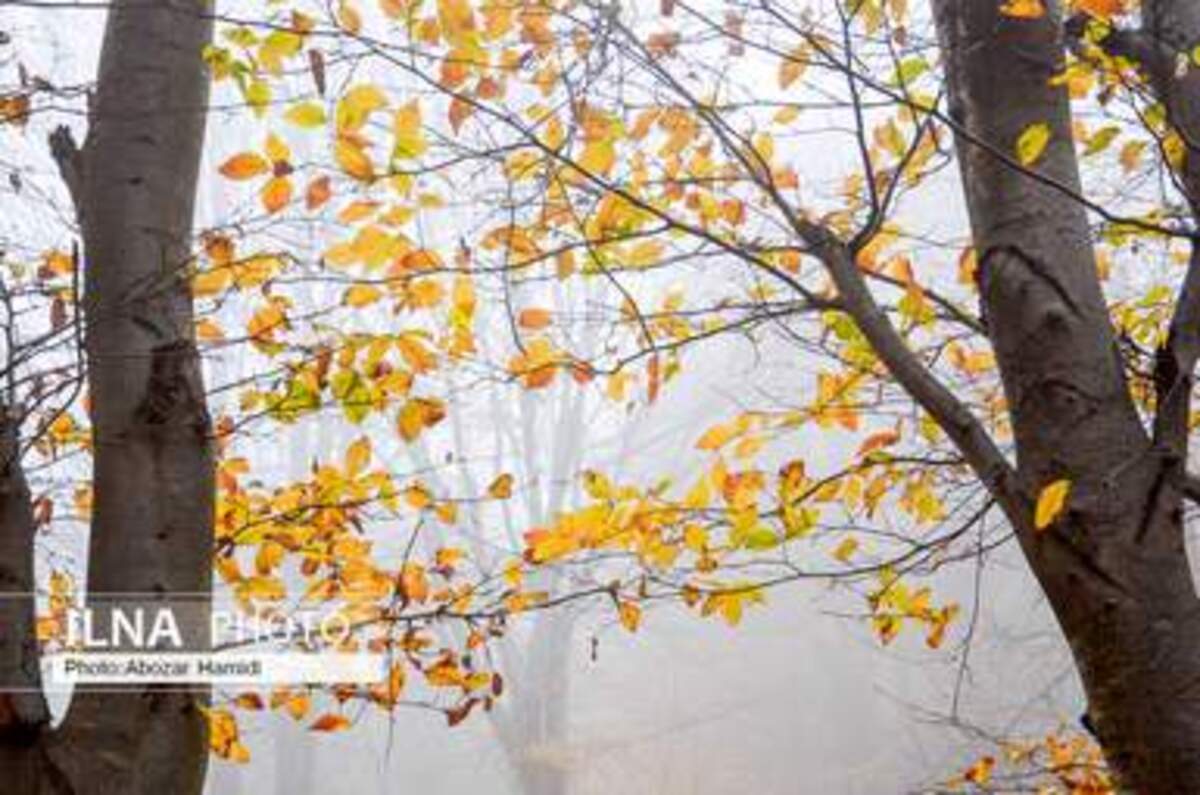  پاییز زیبای روستای داماش در شهرستان رودبار