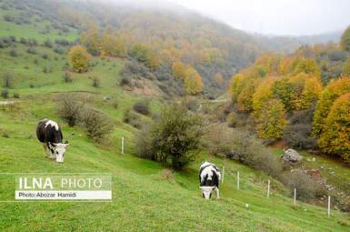  پاییز زیبای روستای داماش در شهرستان رودبار