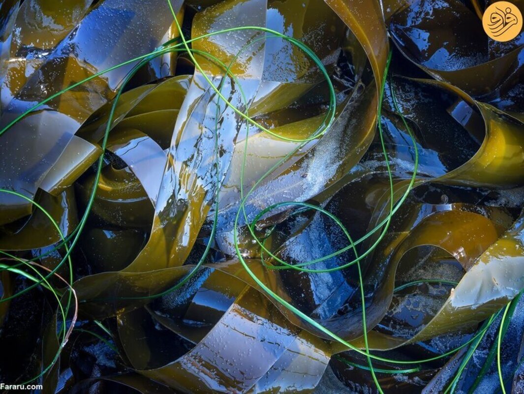 ۴۰ عکس برنده خیره‌کننده مسابقه عکاسی منظره طبیعی ۲۰۲۳