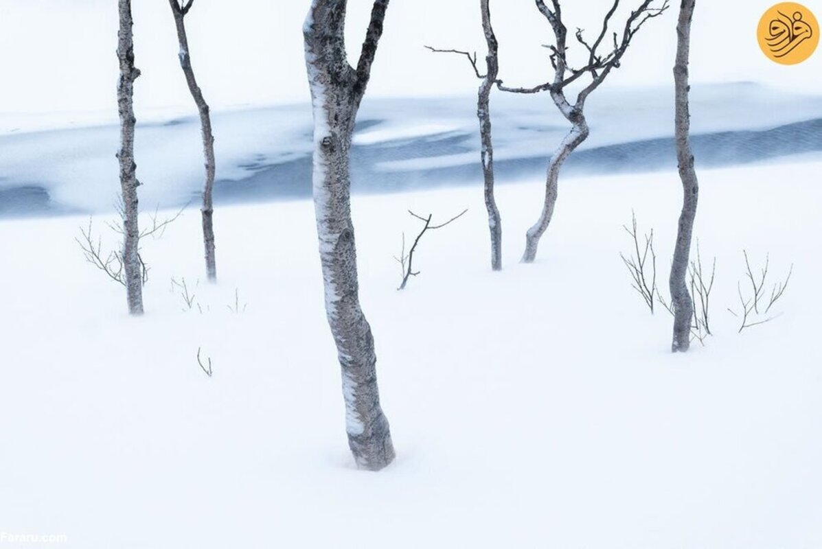 ۴۰ عکس برنده خیره‌کننده مسابقه عکاسی منظره طبیعی ۲۰۲۳