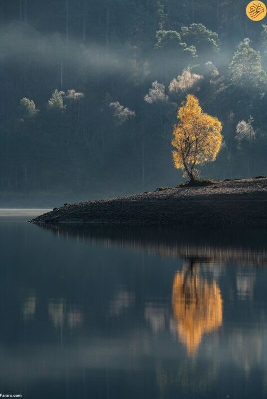 ۴۰ عکس برنده خیره‌کننده مسابقه عکاسی منظره طبیعی ۲۰۲۳