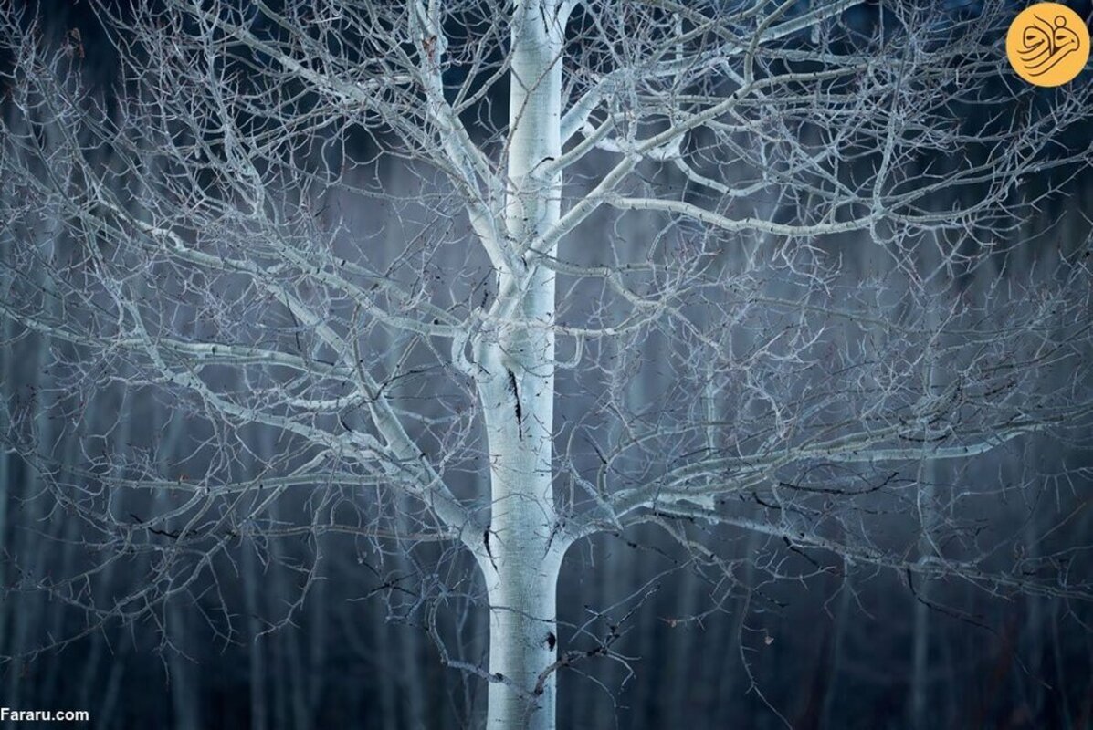 ۴۰ عکس برنده خیره‌کننده مسابقه عکاسی منظره طبیعی ۲۰۲۳