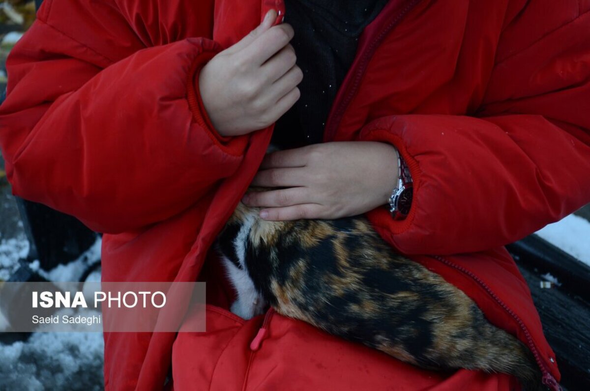 بارش اولین برف پاییزی در تبریز