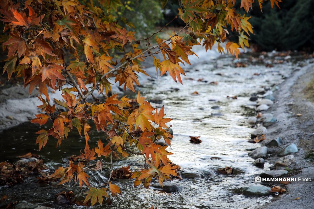 پاییز هزار رنگ در باغ گیاه شناسی