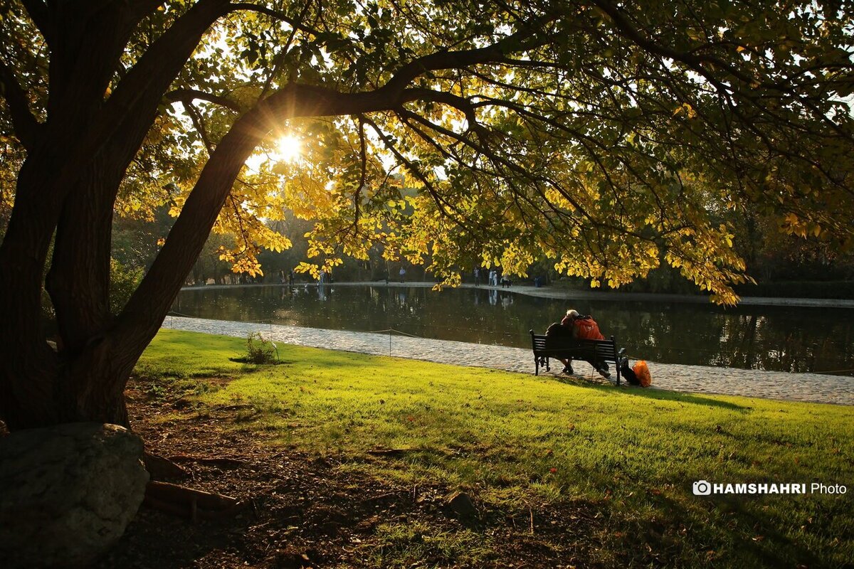 پاییز هزار رنگ در باغ گیاه شناسی