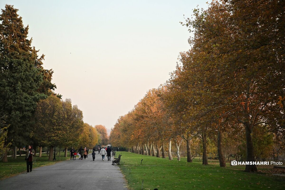 پاییز هزار رنگ در باغ گیاه شناسی