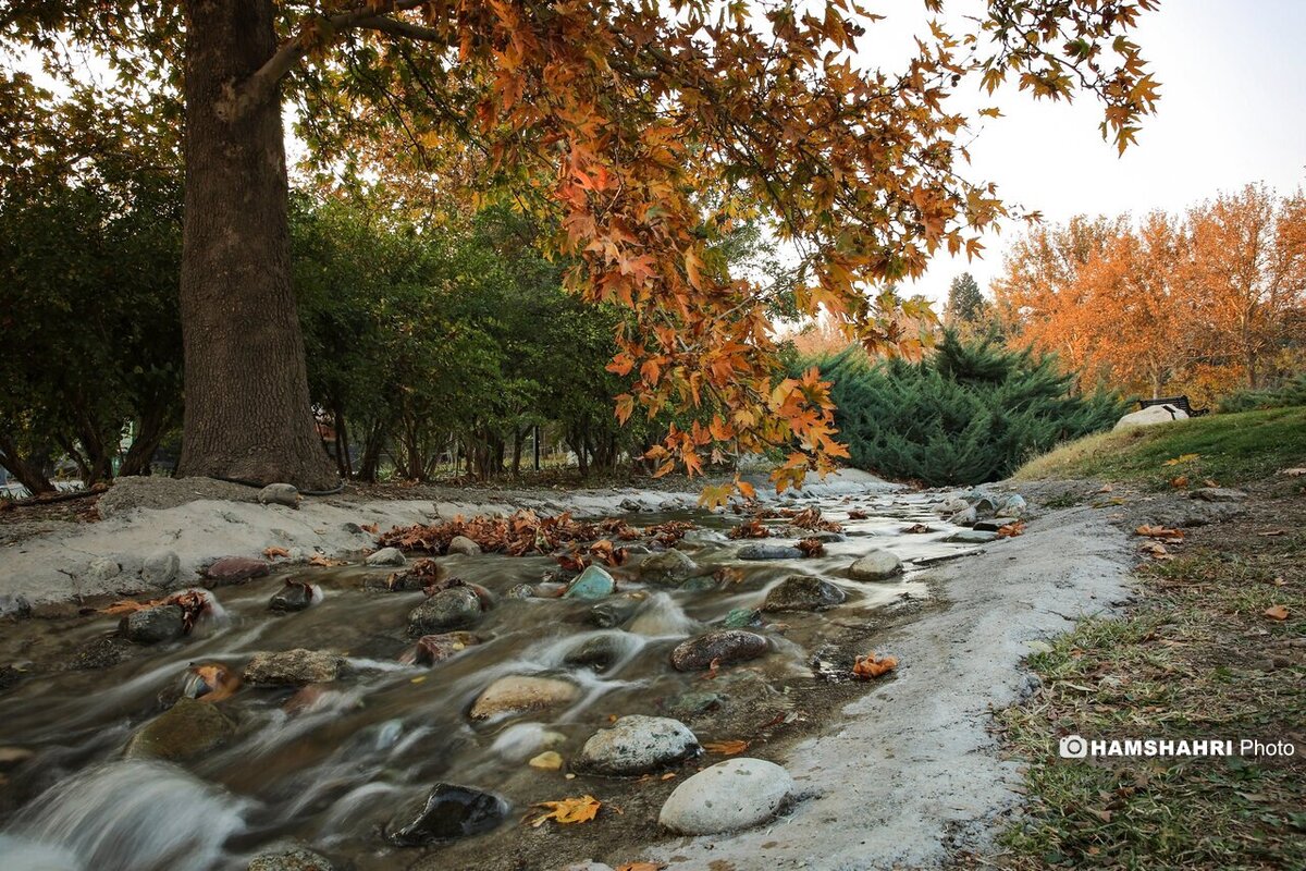 پاییز هزار رنگ در باغ گیاه شناسی