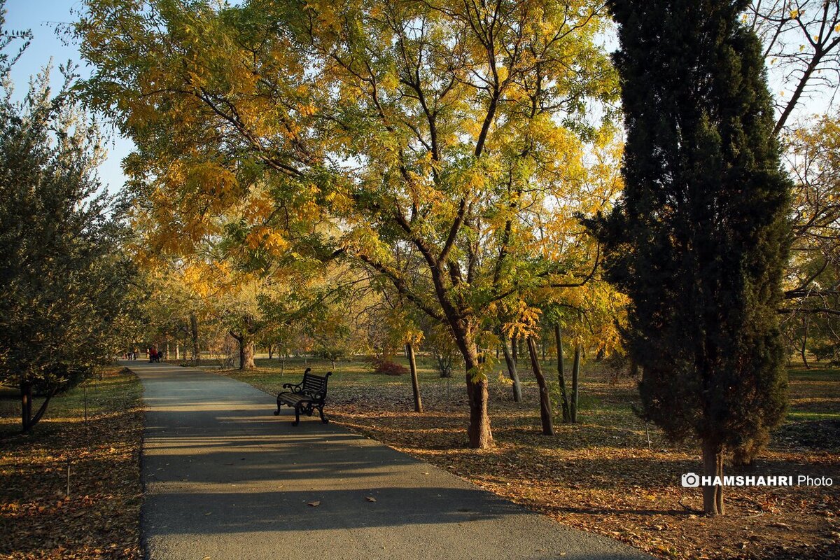 پاییز هزار رنگ در باغ گیاه شناسی