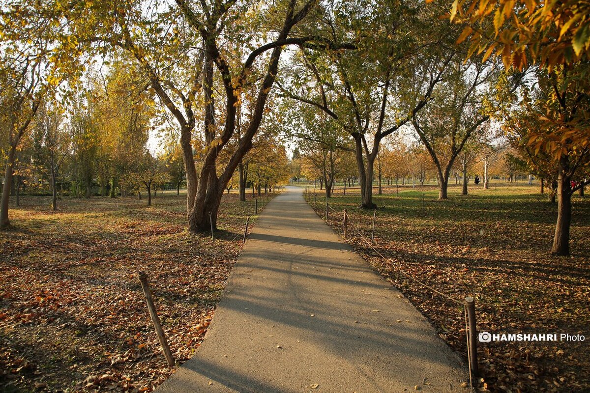 پاییز هزار رنگ در باغ گیاه شناسی