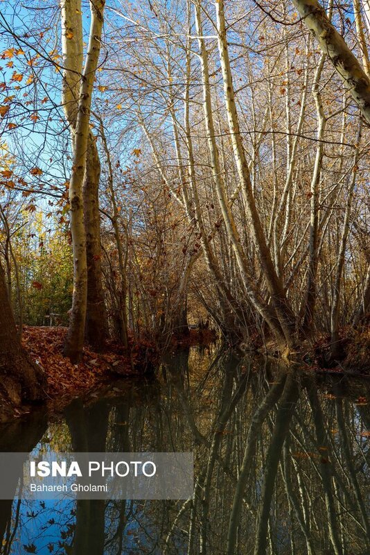 پاییز هزار رنگ اصفهان