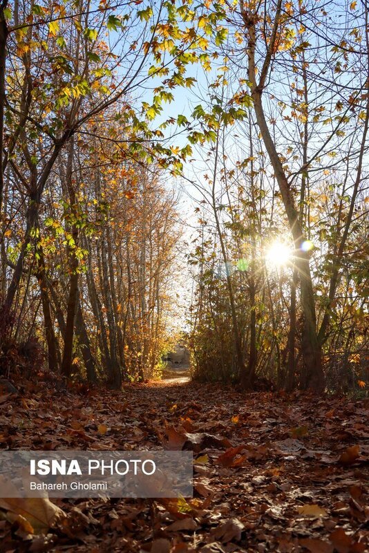 پاییز هزار رنگ اصفهان