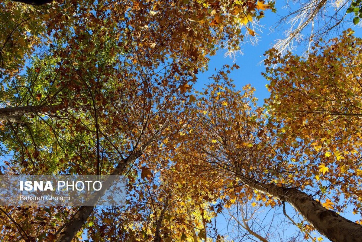 پاییز هزار رنگ اصفهان