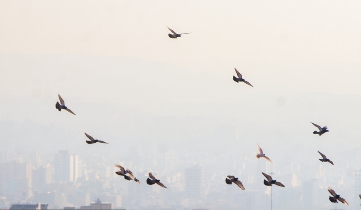 هوای تبریز در وضعیت ناسالم