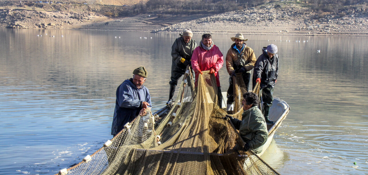 صید ماهی در سد مهاباد