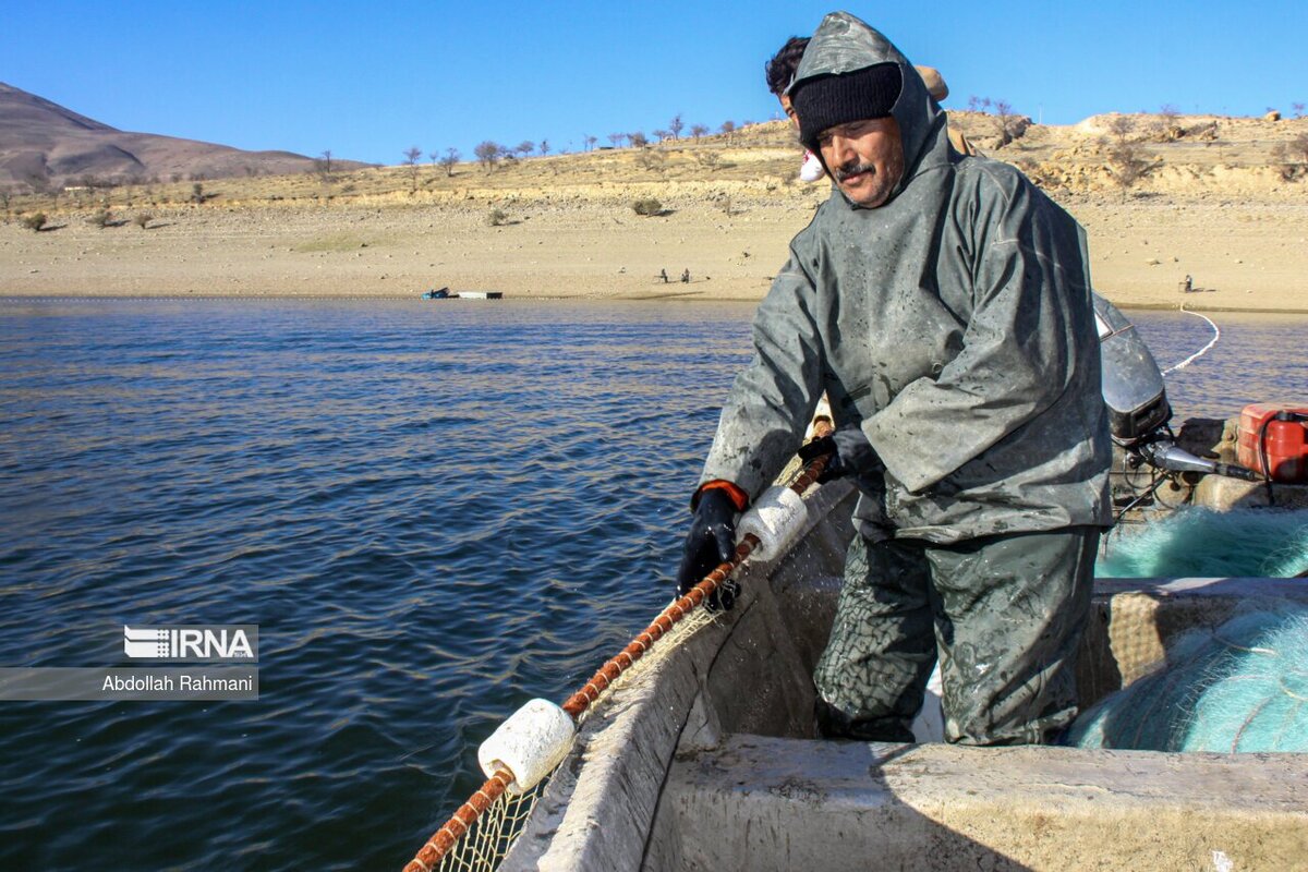 صید ماهی در سد مهاباد