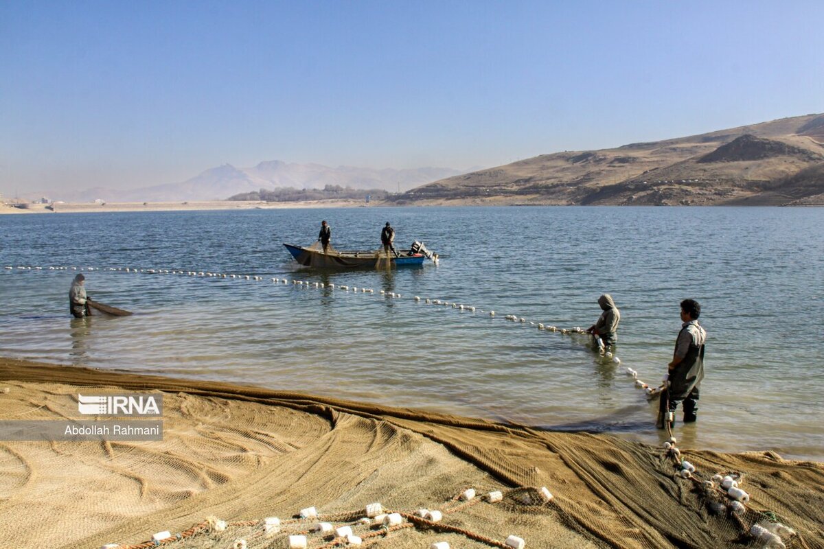 صید ماهی در سد مهاباد