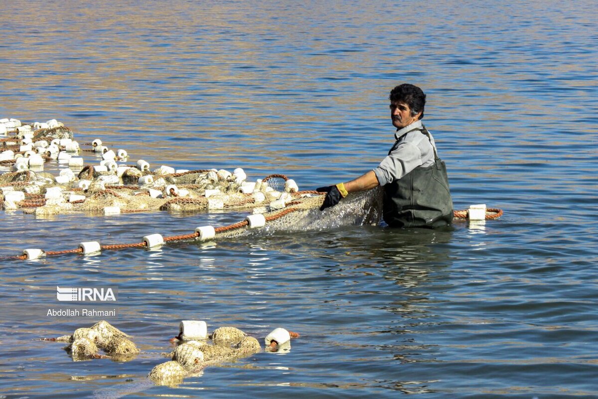 صید ماهی در سد مهاباد