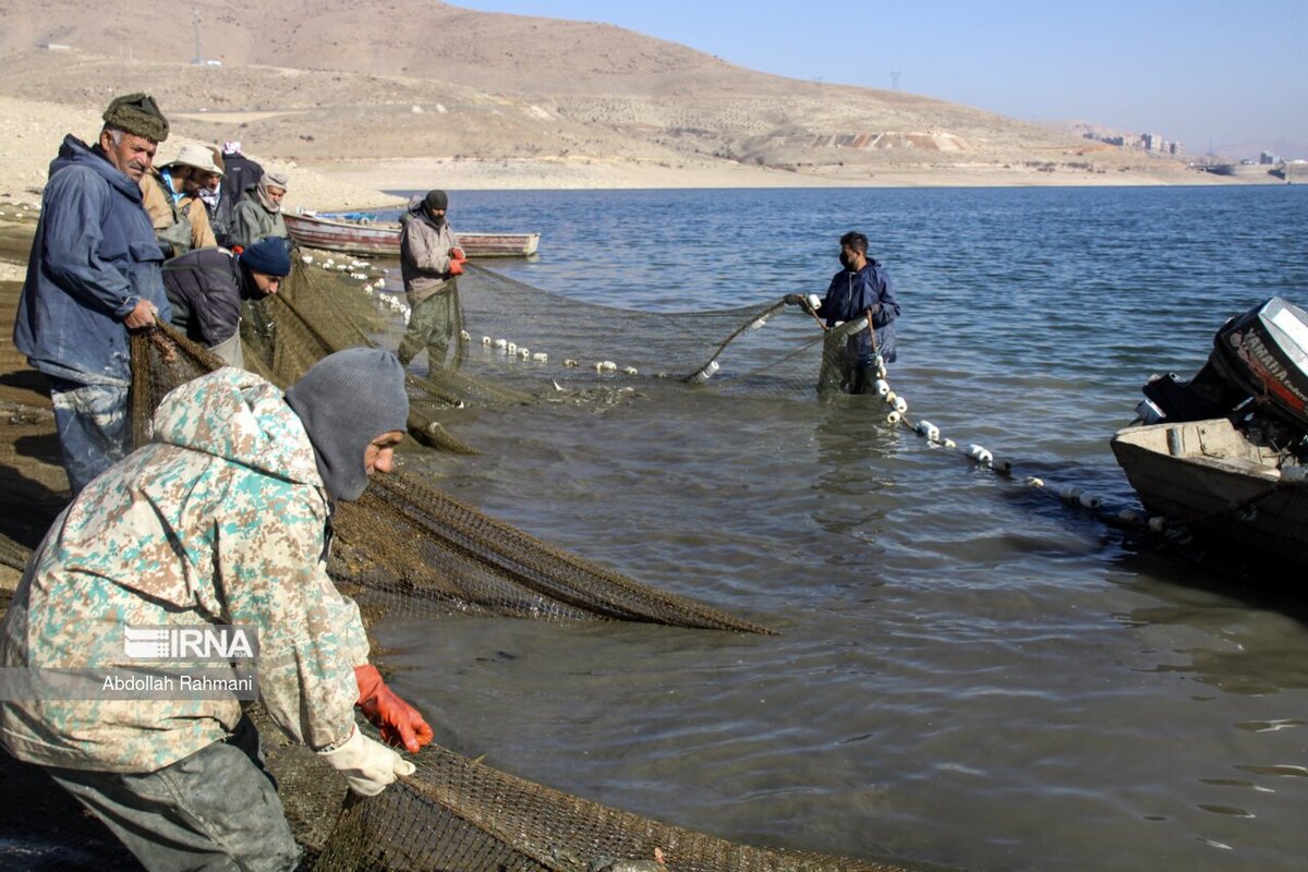 صید ماهی در سد مهاباد
