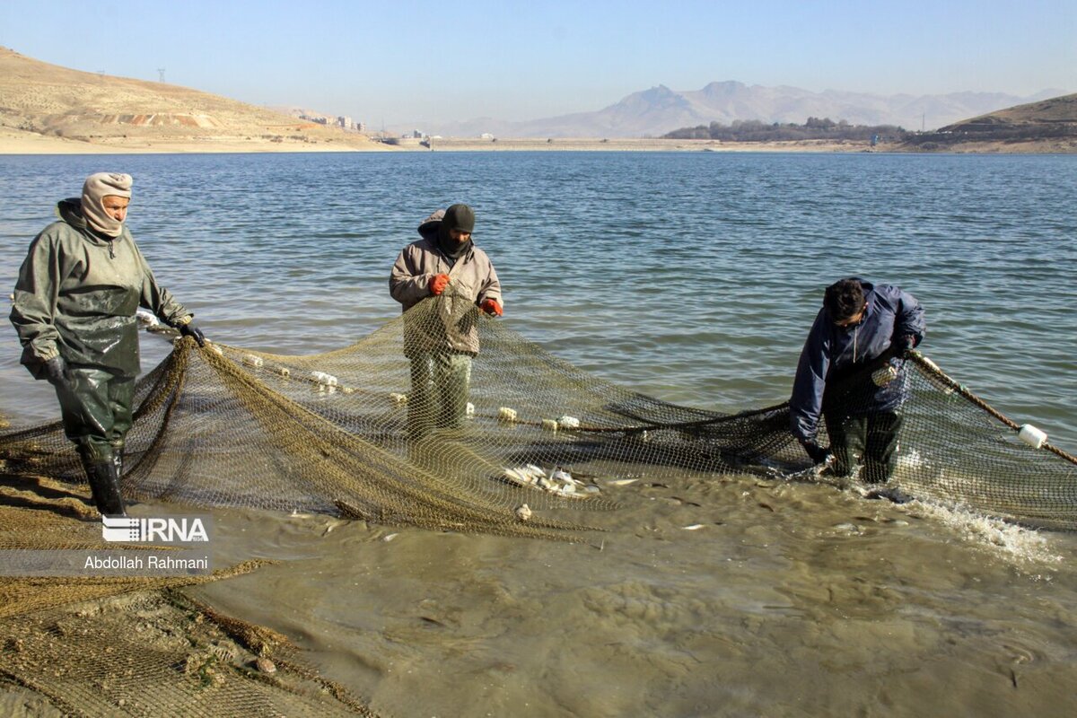 صید ماهی در سد مهاباد