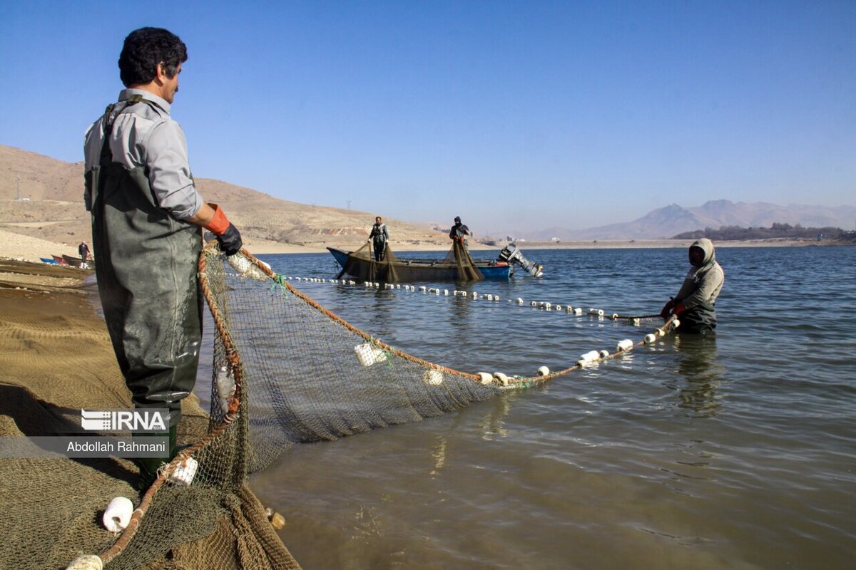 صید ماهی در سد مهاباد