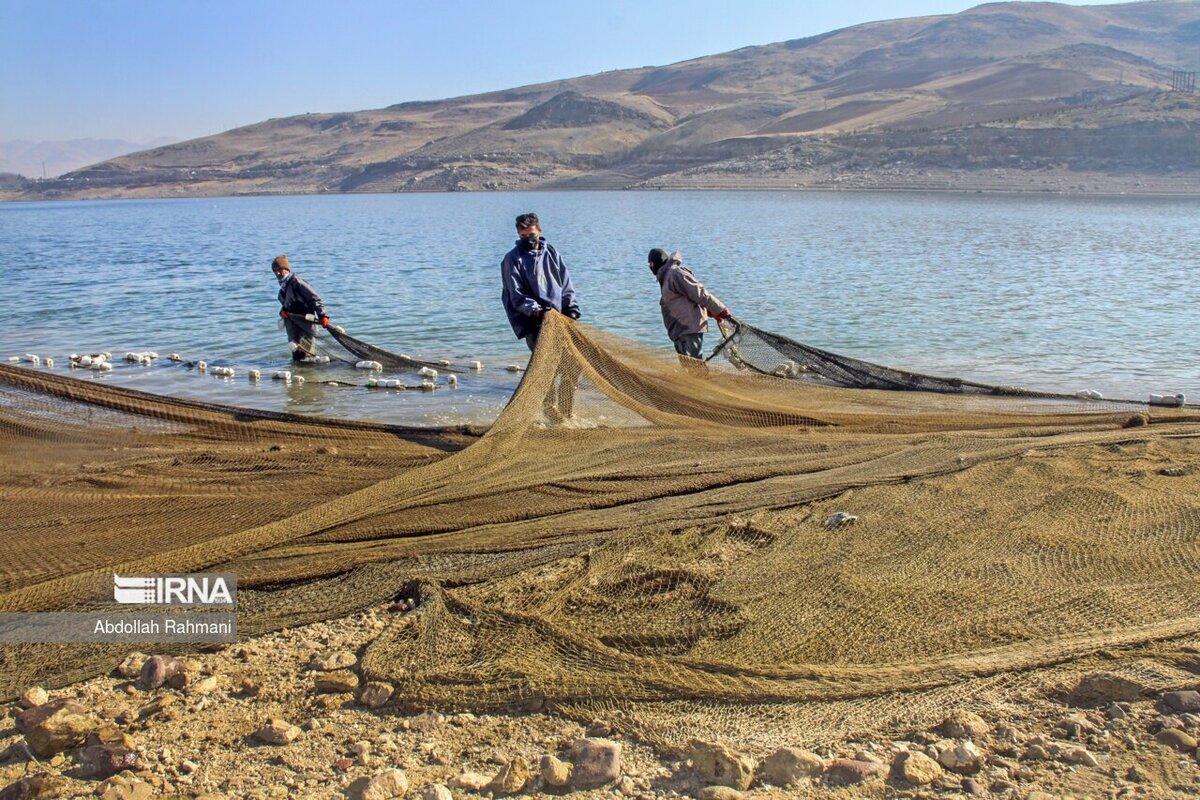 صید ماهی در سد مهاباد