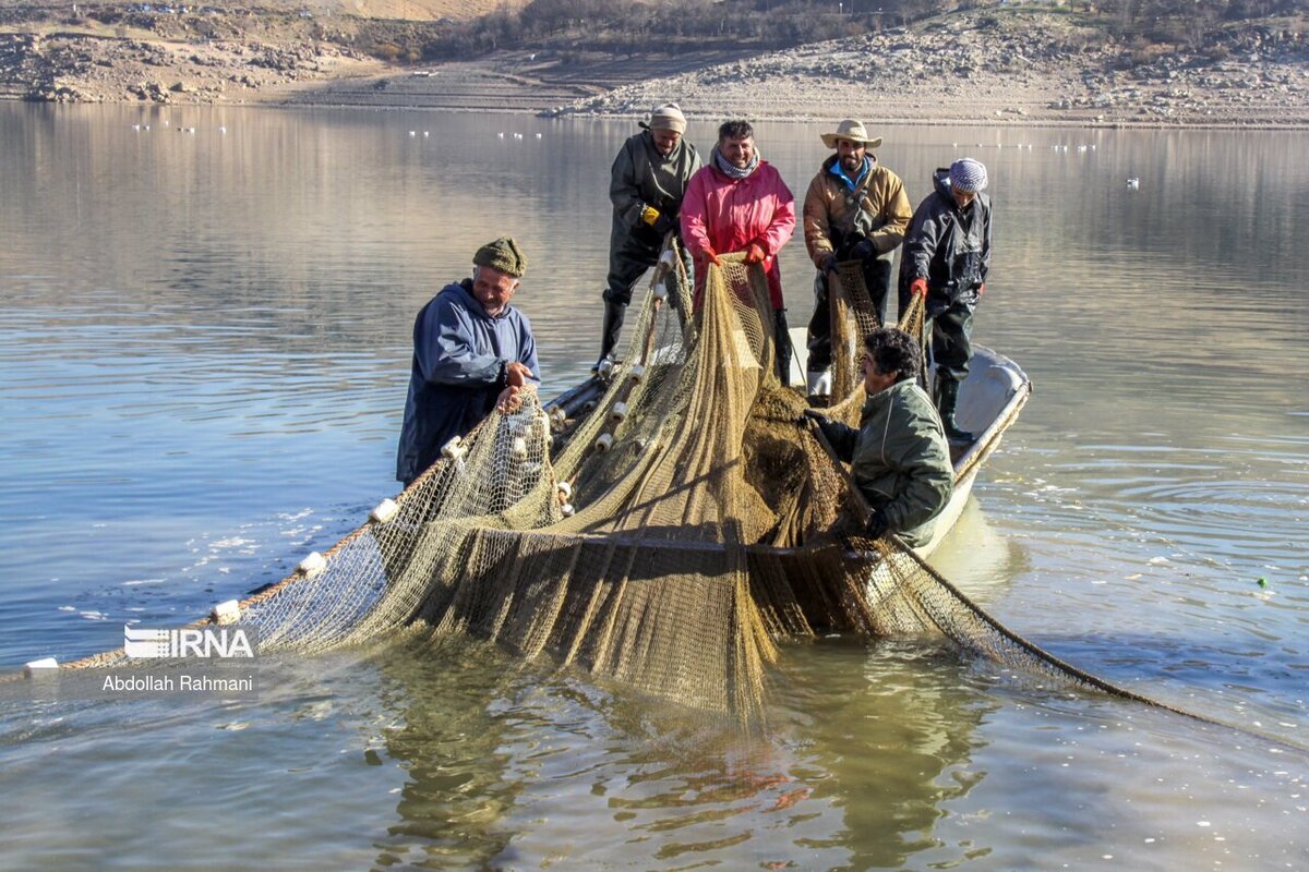 صید ماهی در سد مهاباد