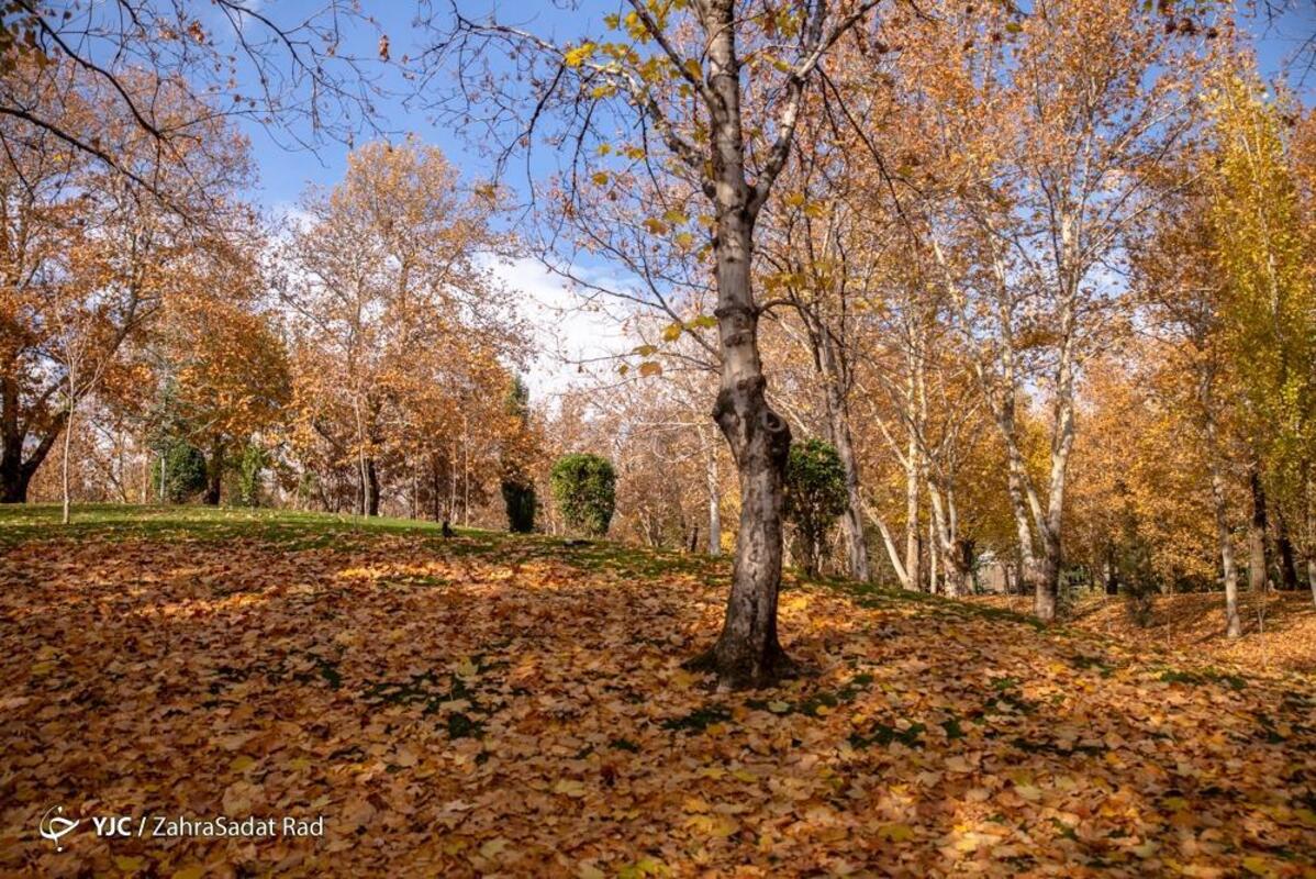 پاییز هزار رنگ در بوستان ملت تهران