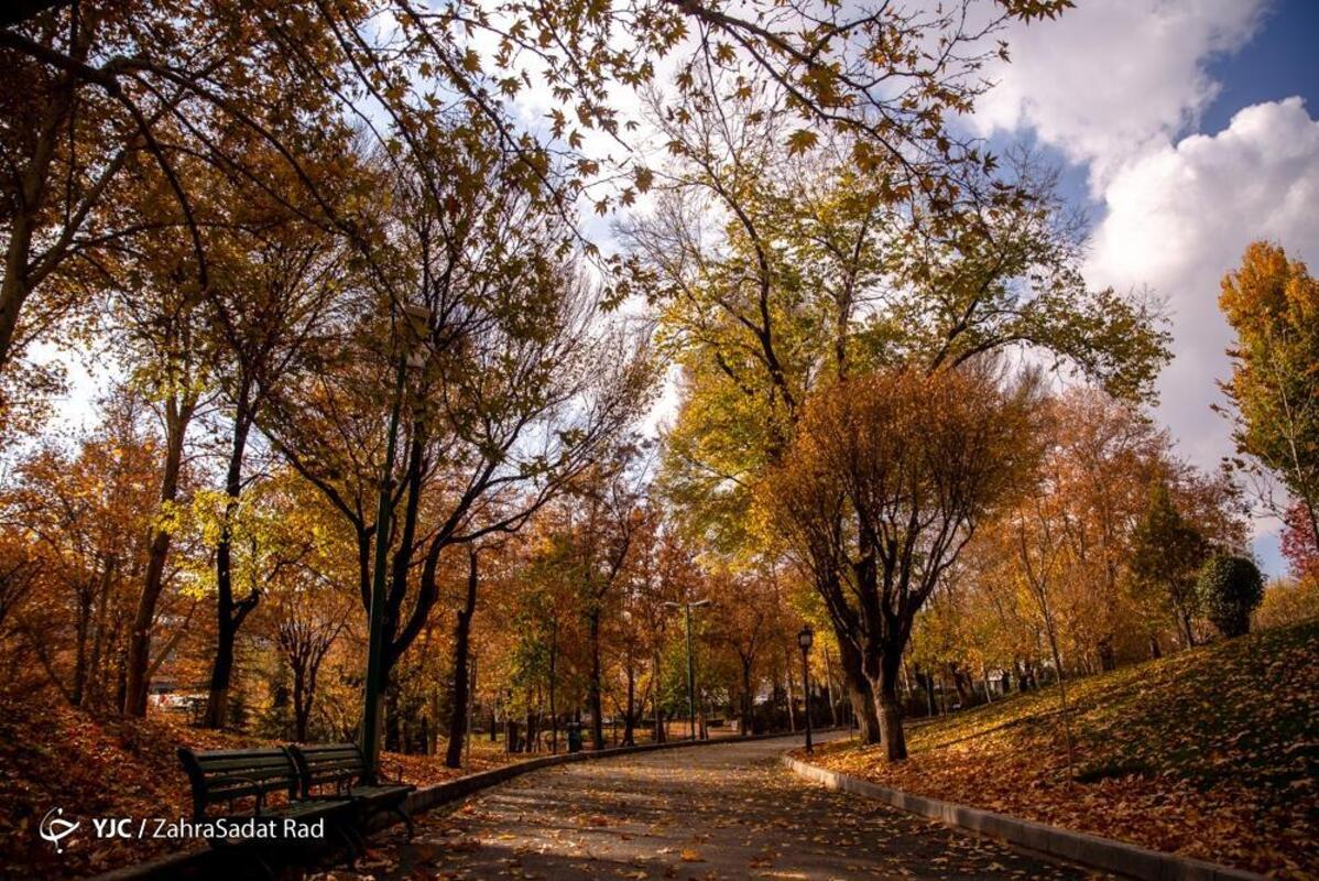 پاییز هزار رنگ در بوستان ملت تهران