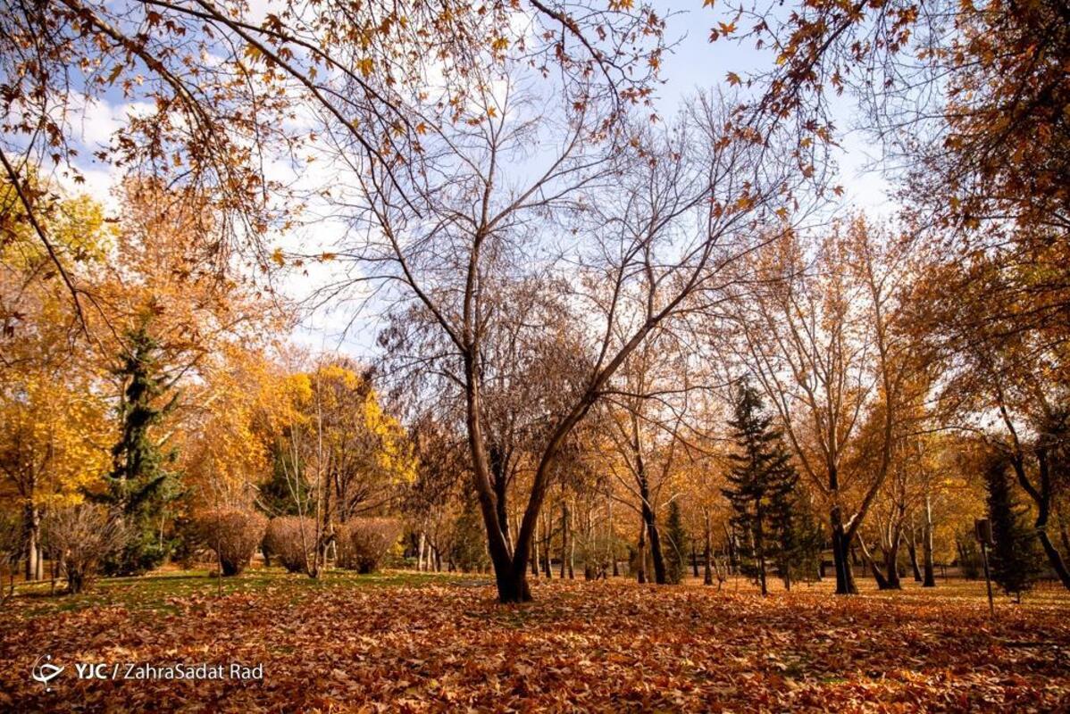 پاییز هزار رنگ در بوستان ملت تهران