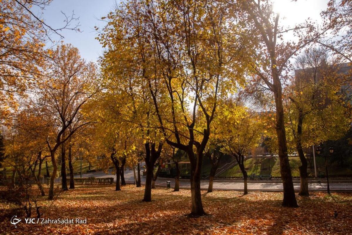 پاییز هزار رنگ در بوستان ملت تهران