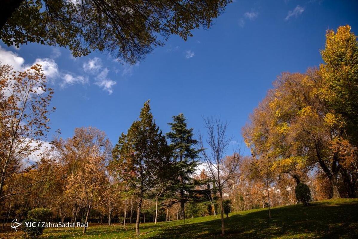 پاییز هزار رنگ در بوستان ملت تهران