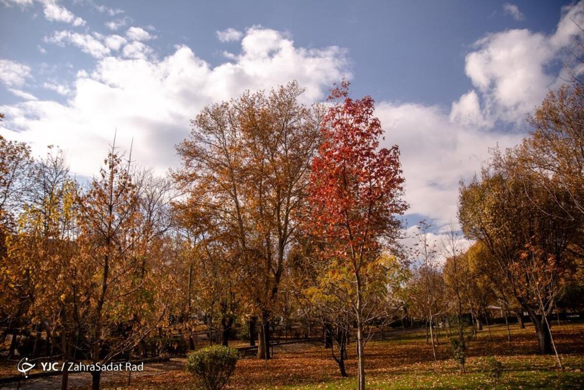 پاییز هزار رنگ در بوستان ملت تهران