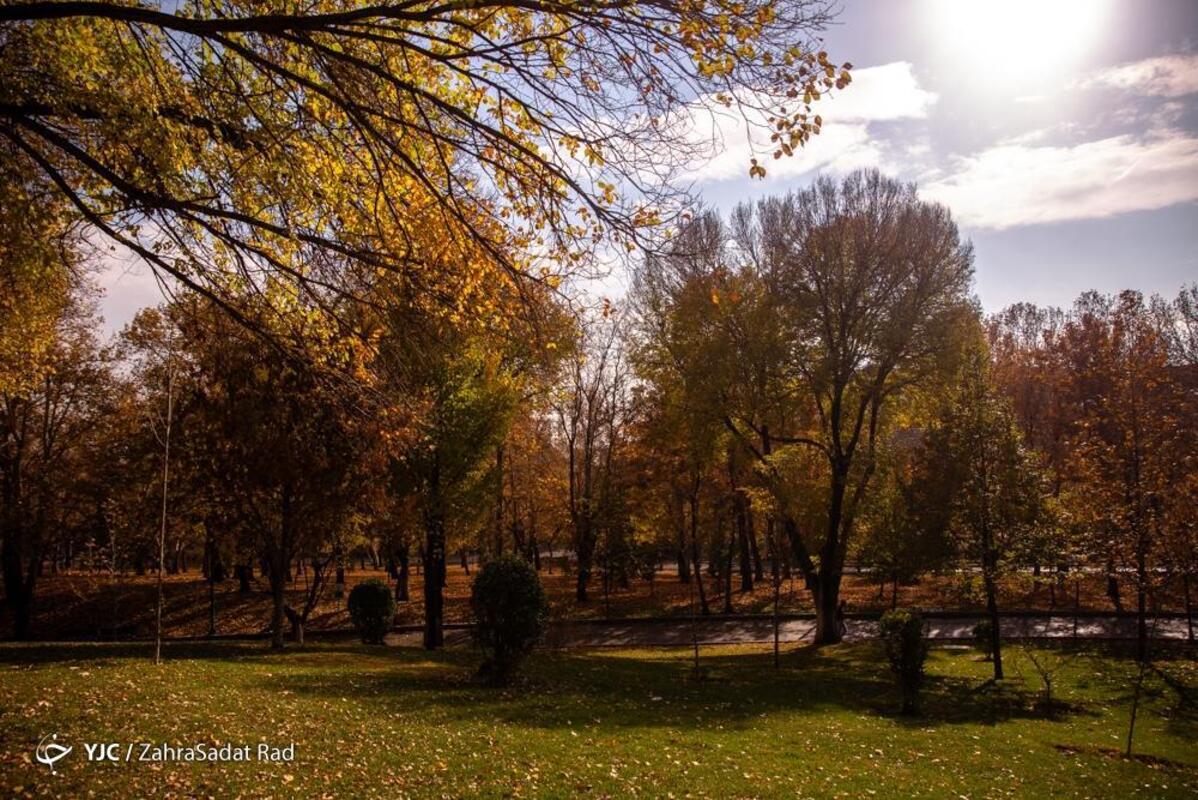 پاییز هزار رنگ در بوستان ملت تهران
