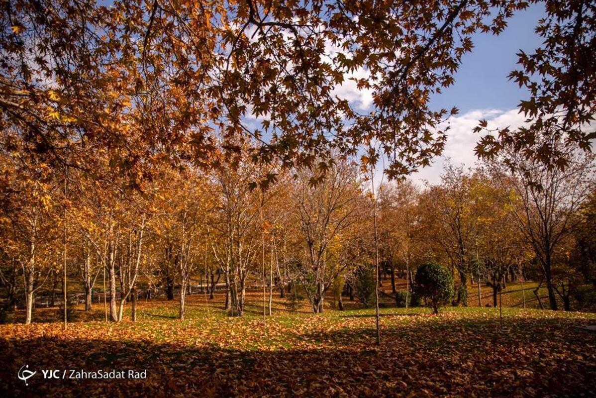 پاییز هزار رنگ در بوستان ملت تهران