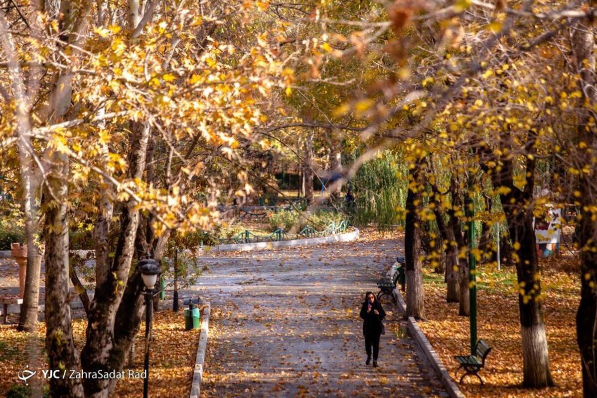 پاییز هزار رنگ در بوستان ملت تهران