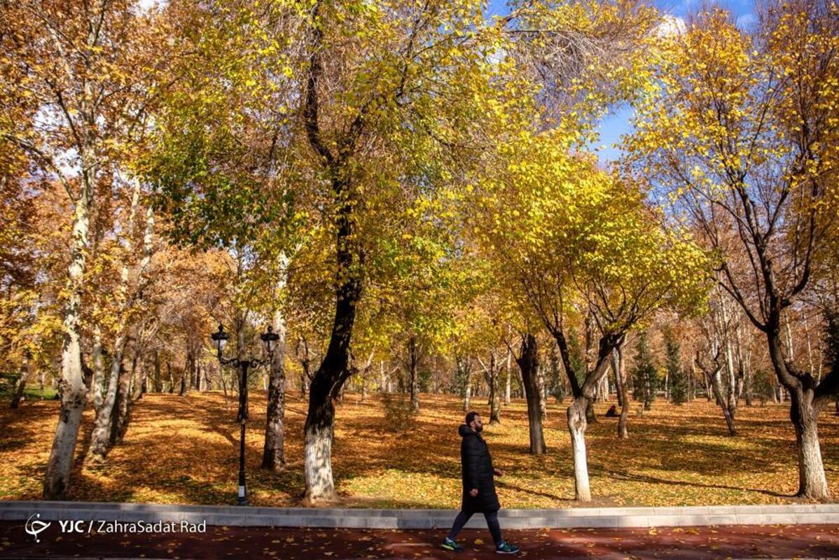 پاییز هزار رنگ در بوستان ملت تهران