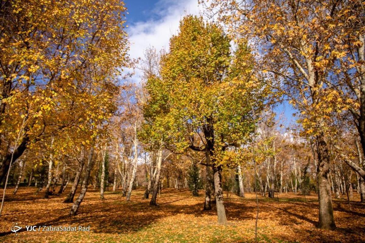 پاییز هزار رنگ در بوستان ملت تهران