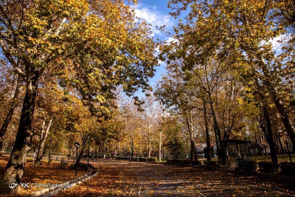 پاییز هزار رنگ در بوستان ملت تهران