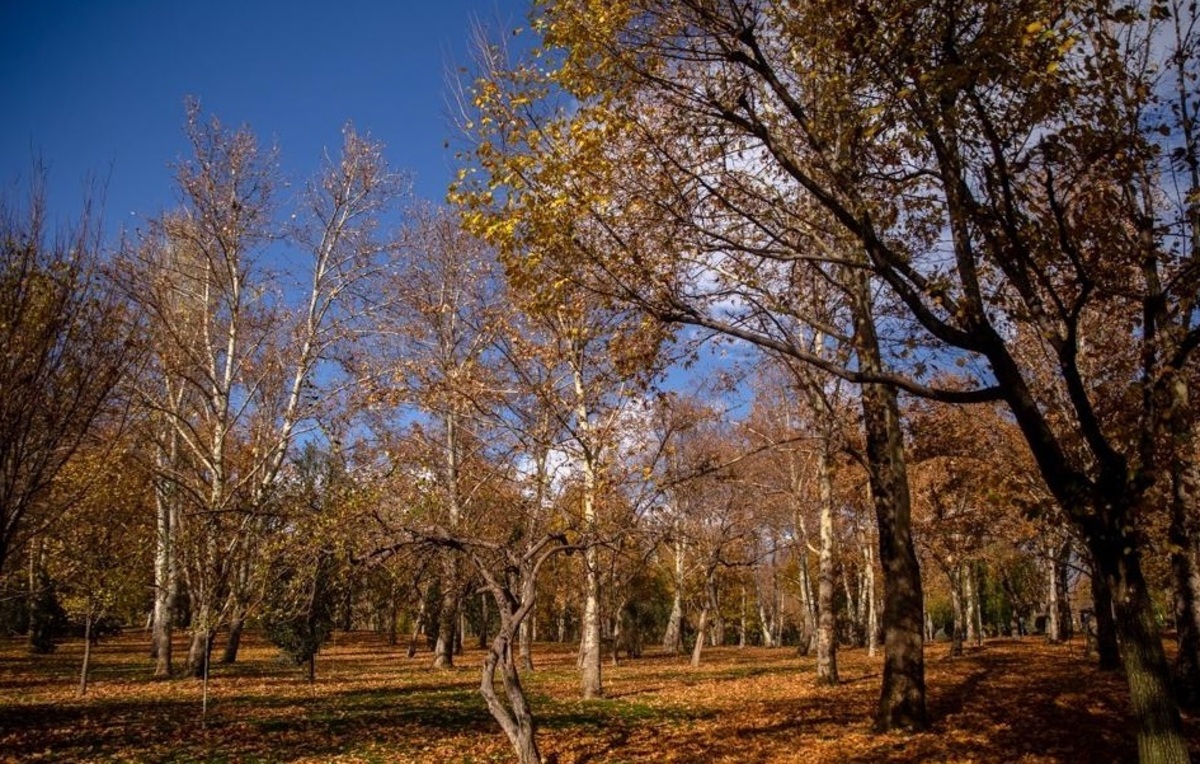 پاییز هزار رنگ در بوستان ملت تهران