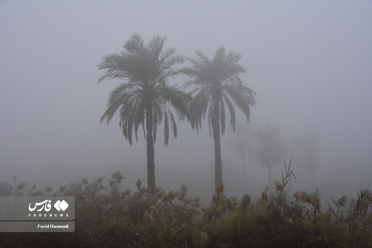 مه صبحگاهی در آبادان