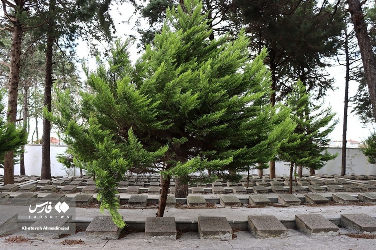 گورستان لهستانی در گیلان